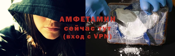 стаф Вязьма