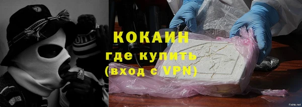 стаф Вязники