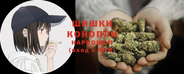 стаф Вязьма