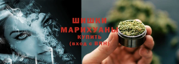 стаф Вязьма