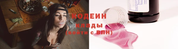 стаф Вязьма