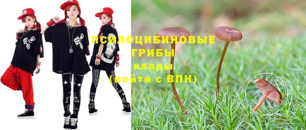 индика Снежинск