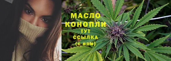 стаф Вязники