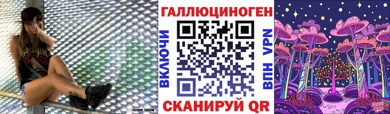 Галлюциногенные грибы Psilocybe  дарнет шоп  Норильск 